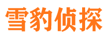 广元市私家侦探